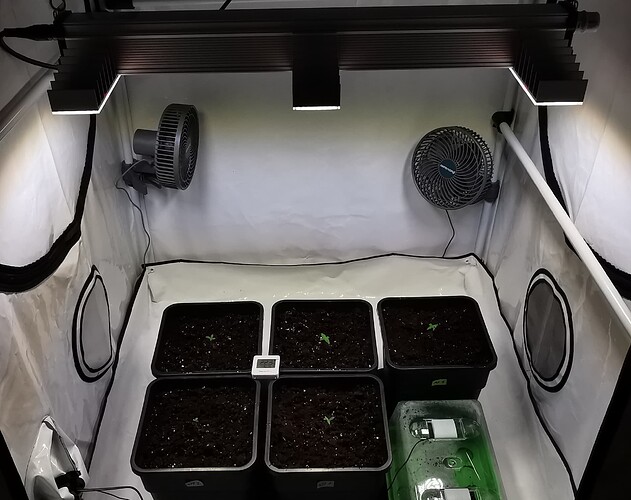 Growreport Bild 13
