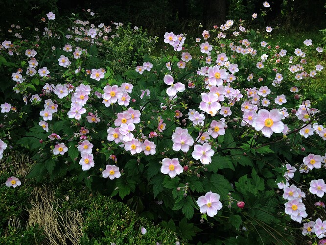 Growreport Bild 22