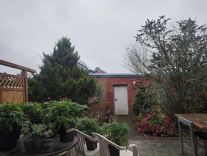Growreport Bild 72