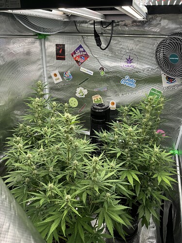 Growreport Bild 20