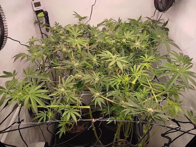 Growreport Bild 12