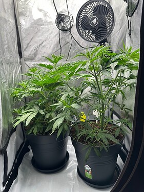 Growreport Bild 13