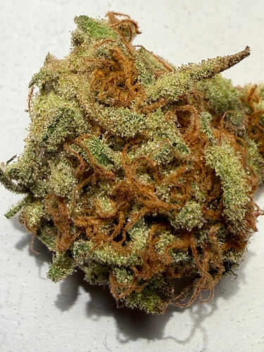 Threema_2026-03-28_10-01-43