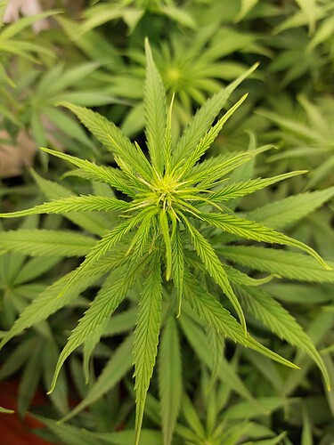 Growreport Bild 11