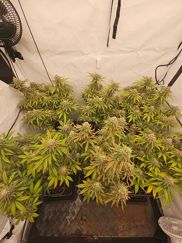 Growreport Bild 15