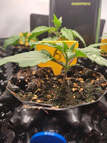 Growreport Bild 3