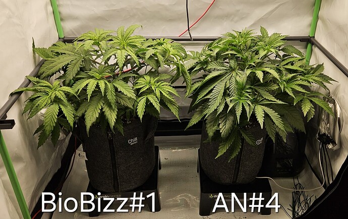 Growreport Bild 17