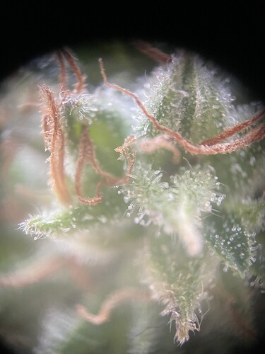Growreport Bild 14