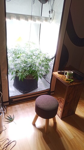 Growreport Bild 18