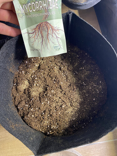 IMG_7384 - Kopie.HEIC