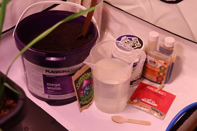 Growreport Bild 10