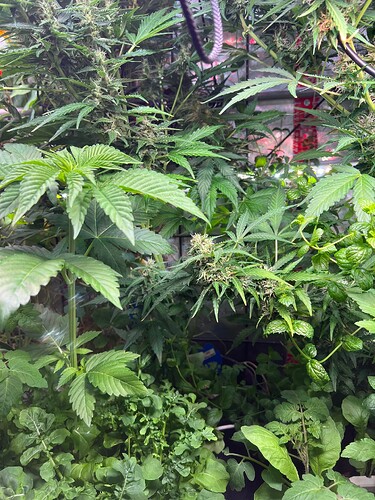 Growreport Bild 12