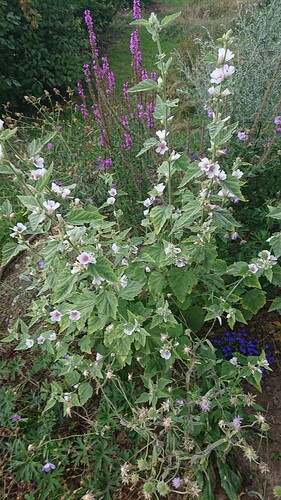 Growreport Bild 18