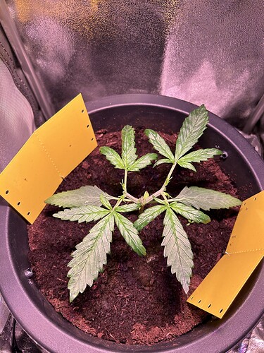 Growreport Bild 6