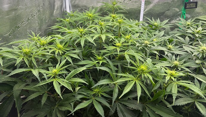 Foto 30.12.25, 13 41 25