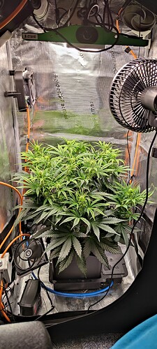 IMG_20250525_201225