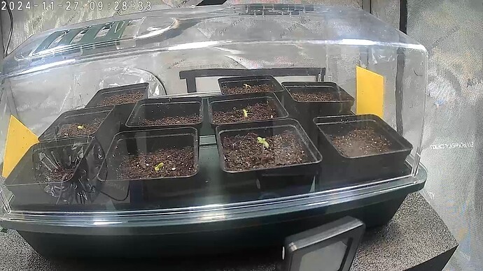 6083E7D51A97_20241127092835798