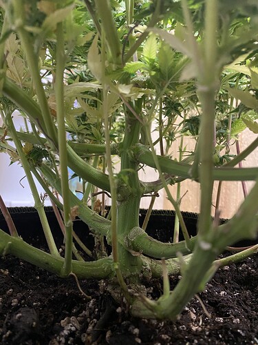 Growreport Bild 8
