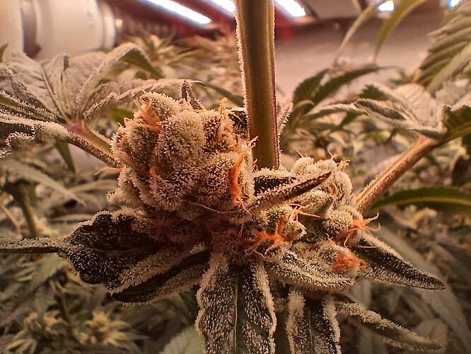 Growreport Bild 10