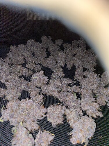 Growreport Bild 7