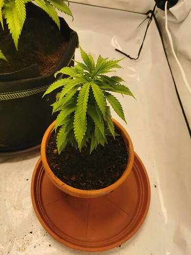 Growreport Bild 3