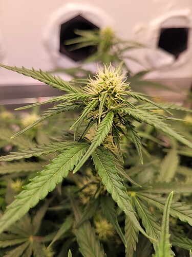 Growreport Bild 11