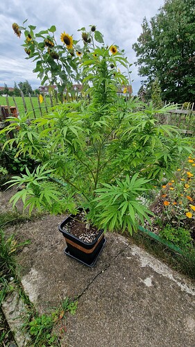 Growreport Bild 12