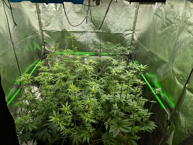 Growreport Bild 5