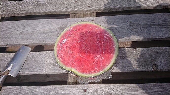 Growreport Bild 15