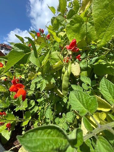 Growreport Bild 22