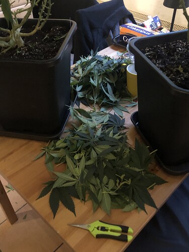 Growreport Bild 22