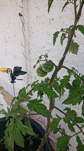 Growreport Bild 12