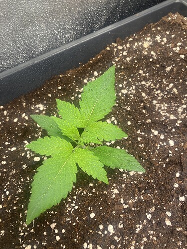 Growreport Bild 18