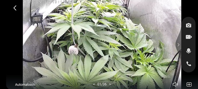 Growreport Bild 8