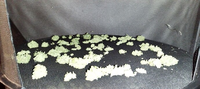 Growreport Bild 4