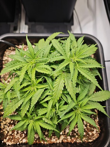 MVIMG_20251012_210443