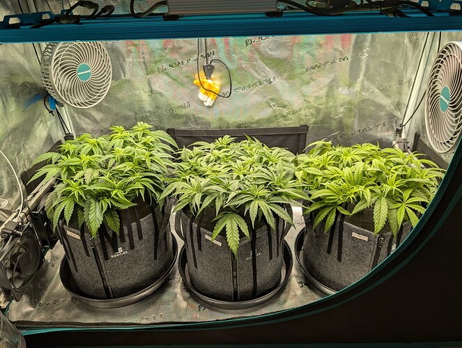 Growreport Bild 5