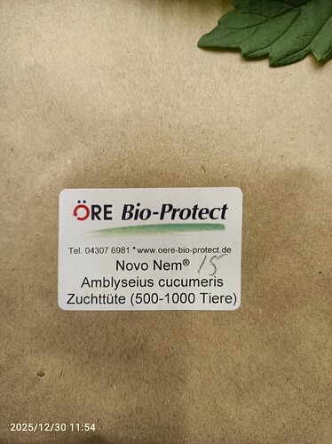 Growreport Bild 2
