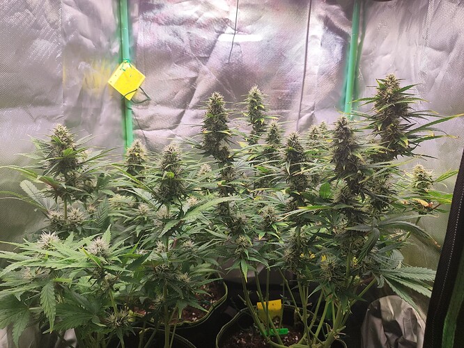 Growreport Bild 10