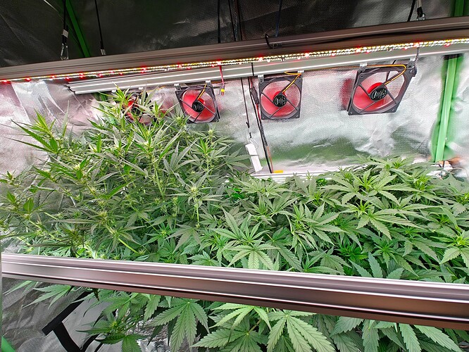 Growreport Bild 16