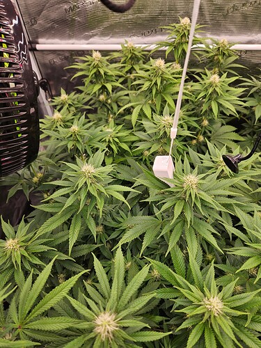 Growreport Bild 16