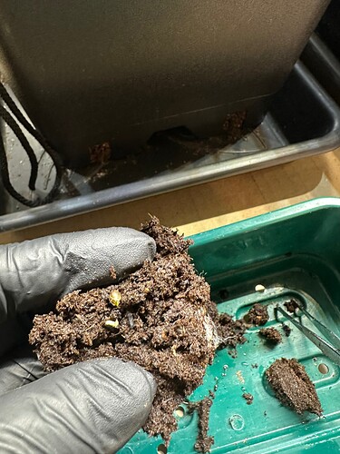 Growreport Bild 53