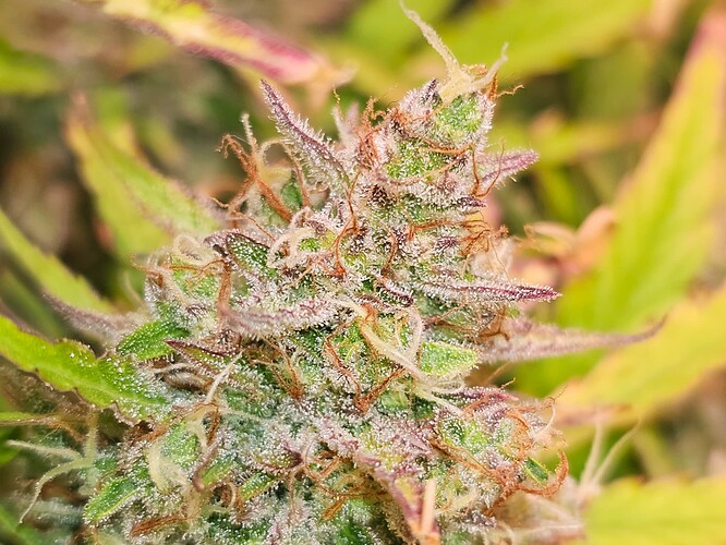 Growreport Bild 18
