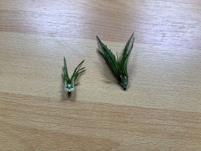 Growreport Bild 6