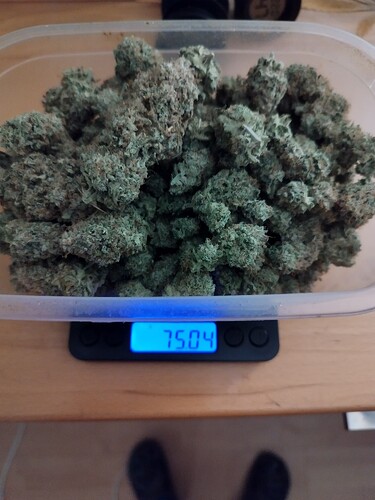 Growreport Bild 5