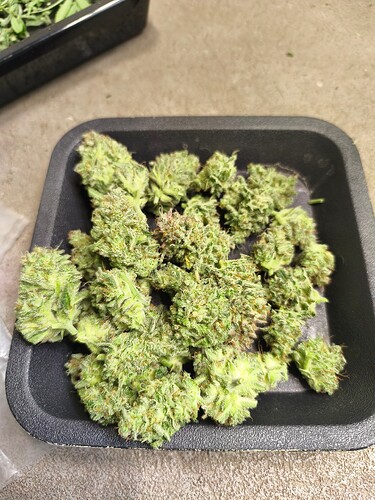 Growreport Bild 7