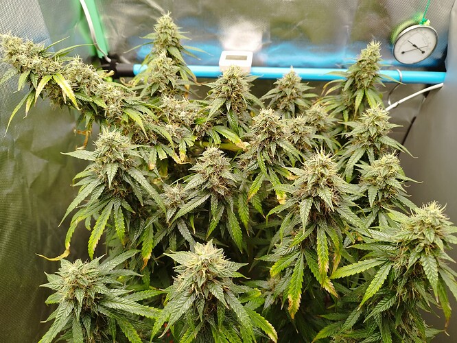 Growreport Bild 14
