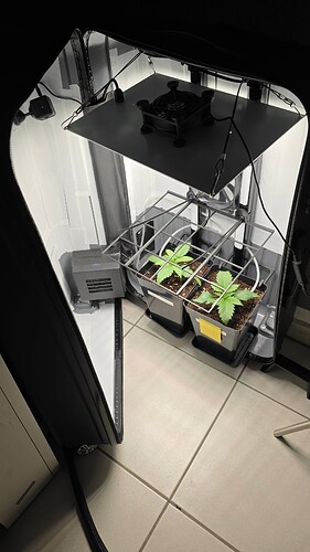 Growreport Bild 6