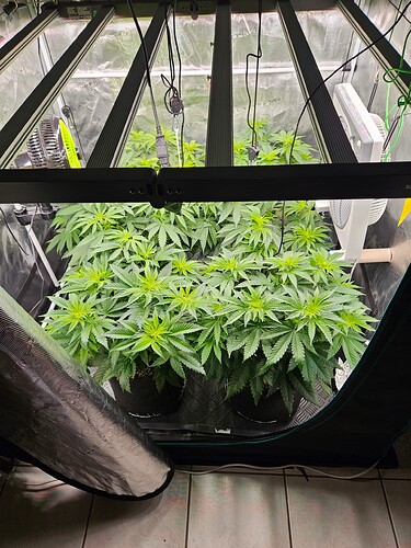 Growreport Bild 15