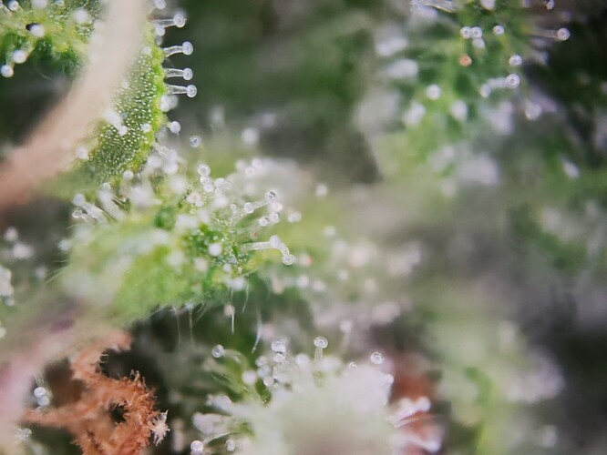 Growreport Bild 17